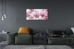 Foto quadro su tela Alberi magnolia 100x50 cm