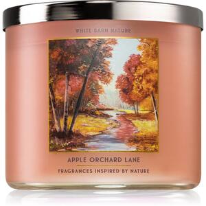 Bath & Body Works Apple Orchard Lane candela profumata 411 g