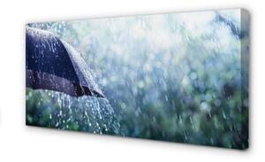 Quadro su tela Gocce ombrello di pioggia 100x50 cm