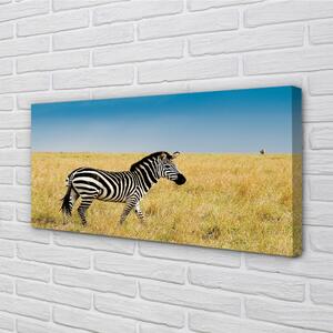 Stampa quadro su tela Campo zebra 100x50 cm