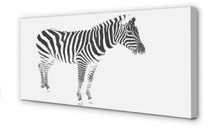Quadro su tela Zebra dipinta 100x50 cm