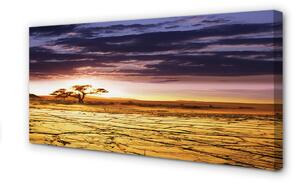 Stampa quadro su tela Clouds del paradiso degli alberi 100x50 cm