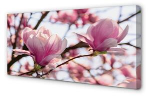 Quadro su tela Alberi magnolia 100x50 cm