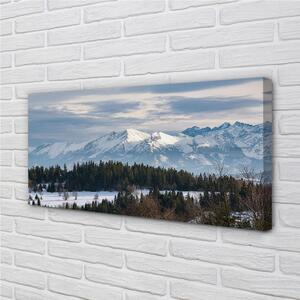 Quadro su tela Montagne Snow invernale 100x50 cm