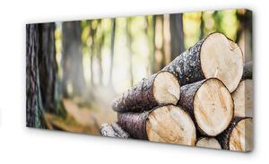 Quadro su tela Foresta naturale di legno 100x50 cm