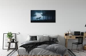 Quadro stampa su tela Forest Night Unicorn 100x50 cm