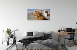 Quadro su tela Spiaggia di cani marrone 100x50 cm