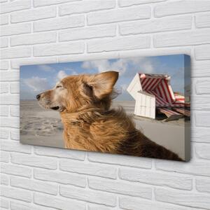 Quadro su tela Spiaggia di cani marrone 100x50 cm