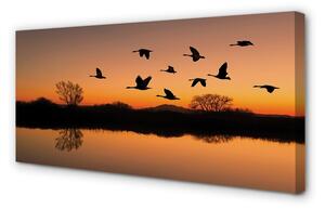 Quadro su tela Sunset di uccelli volanti 100x50 cm