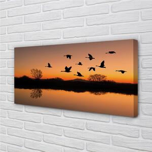Quadro su tela Sunset di uccelli volanti 100x50 cm