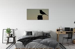 Quadro su tela Uccello nero 100x50 cm