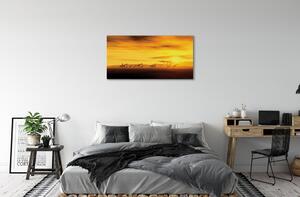 Foto quadro su tela Nuliche di giraffa albero cielo 100x50 cm