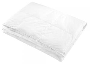 Gabel Piumone Singolo Piumino 90/10 con Fodera di Puro Cotone 155x205 cm - 17143 Piumino Caldissimo