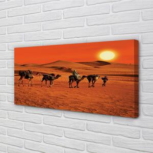 Foto quadro su tela Cammelli persone desertici del sole cielo 100x50 cm