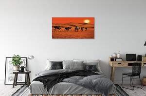 Foto quadro su tela Cammelli persone desertici del sole cielo 100x50 cm