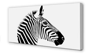 Quadro su tela Illustrazione zebra 100x50 cm