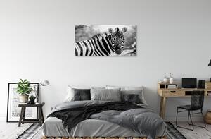 Quadro su tela Zebra retrò 100x50 cm