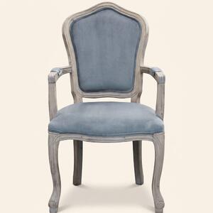 DecHome Poltrona Classica in Velluto Dimensioni 55x51x100 colore Grigio - Coritiba