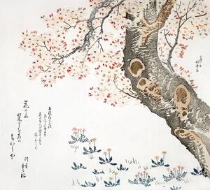 Riproduzione Cherry tree 1822, Katsushika Hokusai