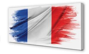 Quadro su tela Flag della Francia 100x50 cm
