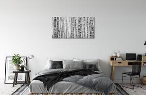 Quadro su tela Betulle in bianco e nero 100x50 cm