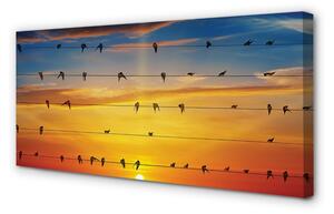 Quadro su tela Uccelli sul tramonto delle corde 100x50 cm