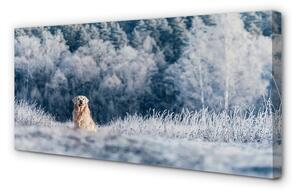 Quadro su tela Dog Mountain Winter 100x50 cm