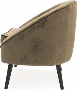 Galileo Poltrona Moderna in Velluto Dimensioni 74x66x77 colore Tortora