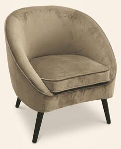 Galileo Poltrona Moderna in Velluto Dimensioni 74x66x77 colore Tortora