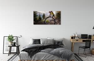 Quadro su tela Nuvole di mountain bike 100x50 cm