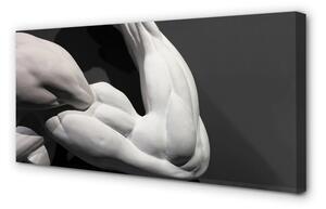 Quadro su tela Muscoli in bianco e nero 100x50 cm