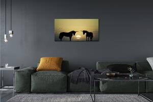 Quadro su tela Sunness Field of unicorns 100x50 cm
