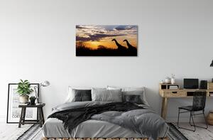 Quadro su tela Cloud Trees Giraffe 100x50 cm
