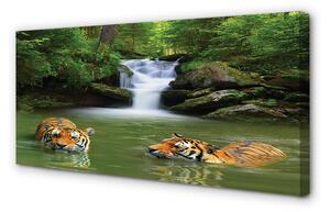 Quadro su tela Tigri a cascata 100x50 cm