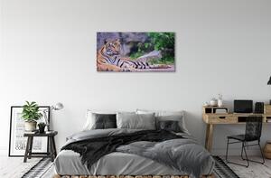 Quadro su tela Tigre nello zoo 100x50 cm