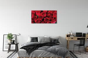 Stampa quadro su tela Rose 100x50 cm