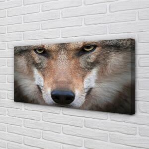 Quadro su tela Eyes Wolf 100x50 cm