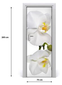 Poster adesivo per porta Orchidea bianca 75x205 cm