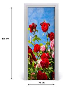 Poster adesivo per porta Rosa selvatica 75x205 cm