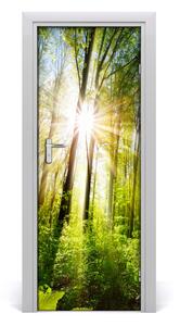Adesivo per porta interna Il sole nella foresta 75x205 cm