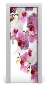 Adesivo per porta Orchidea 75x205 cm