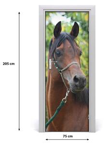 Adesivo per porta interna Ritratto di un cavallo 75x205 cm