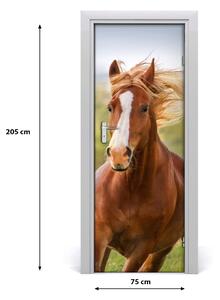 Adesivo per porta interna Cavallo su galoppo 75x205 cm