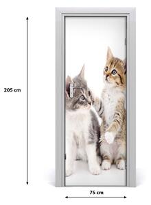 Adesivo per porta Due piccoli gatti 75x205 cm