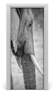 Sticker porta Elefante 75x205 cm