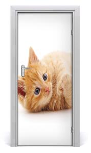 Adesivo per porta Little Rudy Cat 75x205 cm