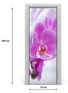 Poster adesivo per porta Orchidea rosa 75x205 cm