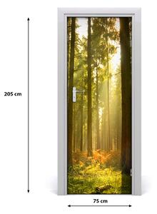 Adesivo per porta interna Paesaggi Bella foresta 75x205 cm
