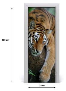Poster adesivo per porta Tigre su un albero 75x205 cm