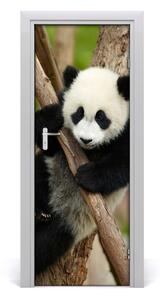 Adesivo per porta interna Panda su un albero 75x205 cm